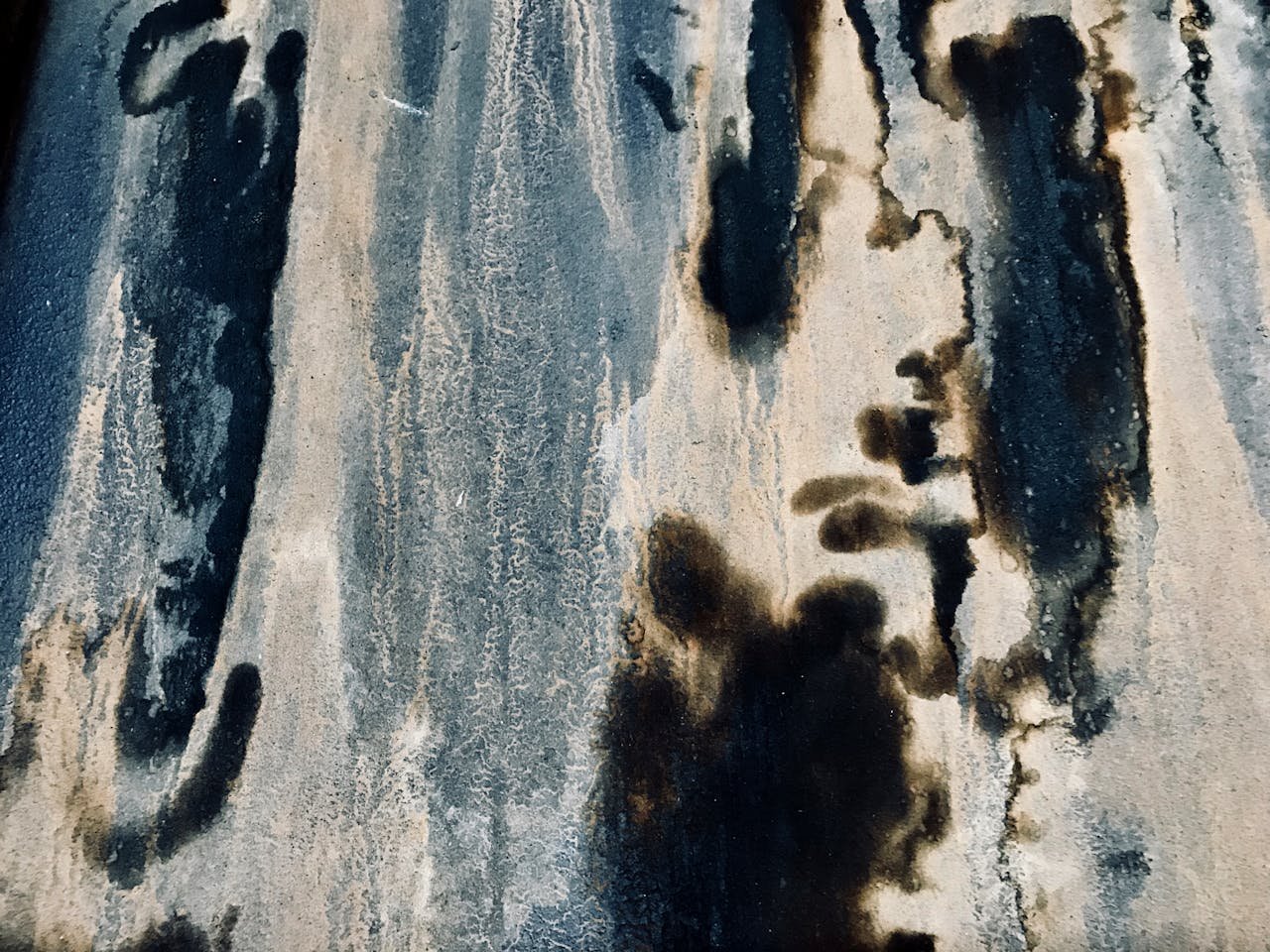 Prevenção de mofo, bolor e fungos