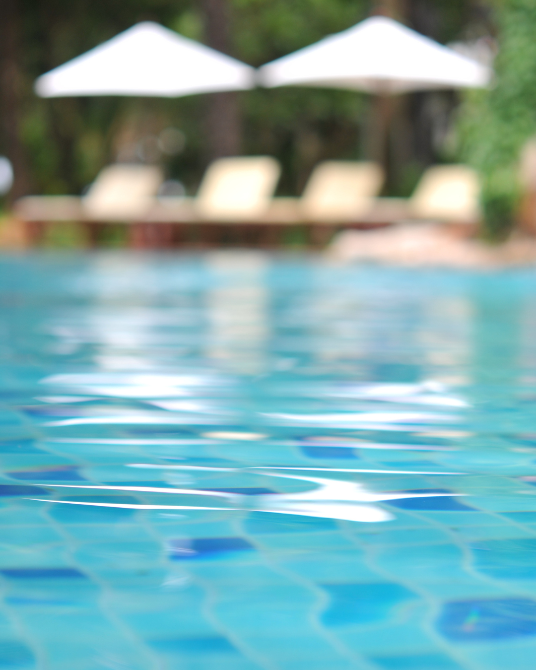 Desumidificadores para piscinas cobertas e aquecidas